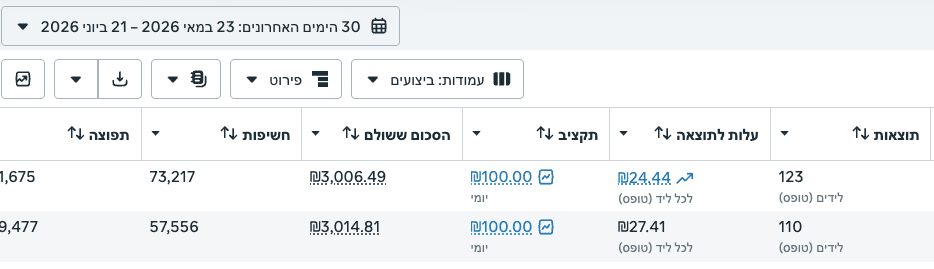 תוצאות קמפיין - ליד איכותי (צילום 6 ממנהל המודעות של Meta)