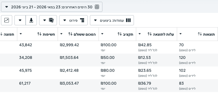 תוצאות קמפיין - עלות נמוכה (צילום 7 ממנהל המודעות של Meta)